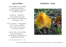 Laub-am-Boden-Flaischlen.pdf